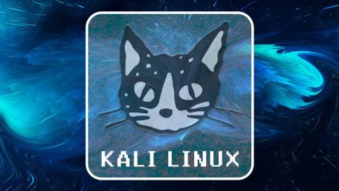 给大家推荐我使用的操作系统:KALI LINUX